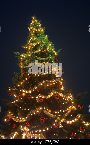 Albero di natale, il mercatino di Natale in generale de Gaulle place, Metz, Lorena, Francia Foto Stock