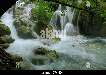 Milke Trnine cascata superiore sovrastato da alberi al Parco Nazionale dei Laghi di Plitvice, Croazia, Luglio. Foto Stock