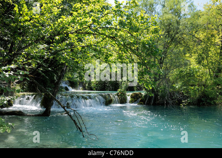 Milke Trnine cascata sovrastato da alberi al Parco Nazionale dei Laghi di Plitvice, Croazia, Agosto. Foto Stock