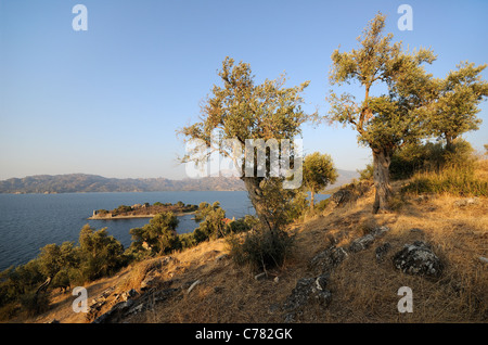 Bafa Goelue, Lago Bafa, Çamiçi Goelue con Kapıkırı Isola, Muğla Provincia, Aydın, Sud costa Egea, Europa, Medio Oriente e Asia Foto Stock