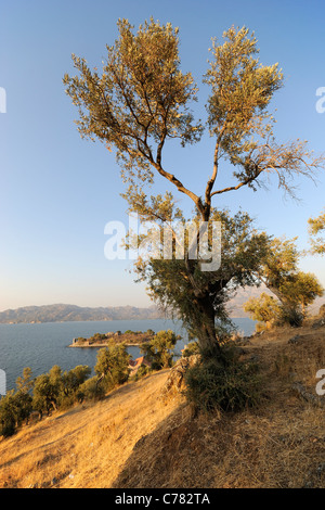 Bafa Goelue, Lago Bafa, Çamiçi Goelue con Kapıkırı Isola, Muğla Provincia, Aydın, Sud costa Egea, Europa, Medio Oriente e Asia Foto Stock