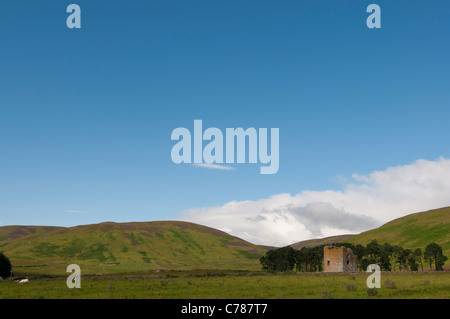 Cercando di fronte alla Torre Dryhope dal Southern Upland Way al St Mary's Loch in Scottish Borders Foto Stock