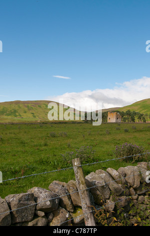 Cercando di fronte alla Torre Dryhope dal Southern Upland Way al St Mary's Loch in Scottish Borders Foto Stock