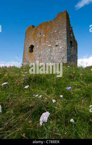 Yarrow (achilea Millefolium) e altri fiori selvatici dalla torre Dryhope Foto Stock