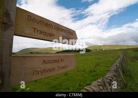 Seguire le indicazioni per Southern Upland Way e Torre Dryhope Foto Stock