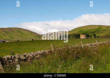 Cercando di fronte alla Torre Dryhope dal Southern Upland Way al St Mary's Loch in Scottish Borders Foto Stock