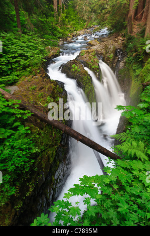 Sol Duc Falls, il Parco Nazionale di Olympic, Washington. Foto Stock