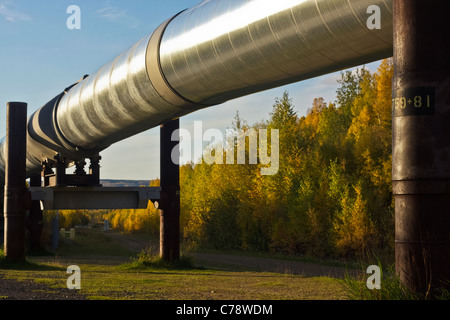 La pipeline Trans-Alaska in autunno Foto Stock