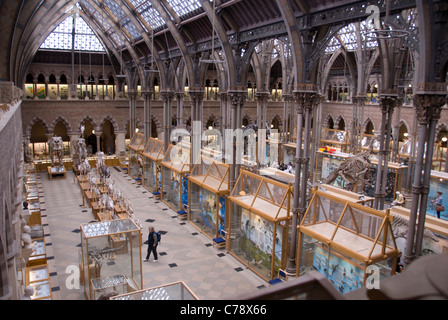 OXFORDSHIRE; OXFORD; Oxford University MUSEO DI STORIA NATURALE Foto Stock