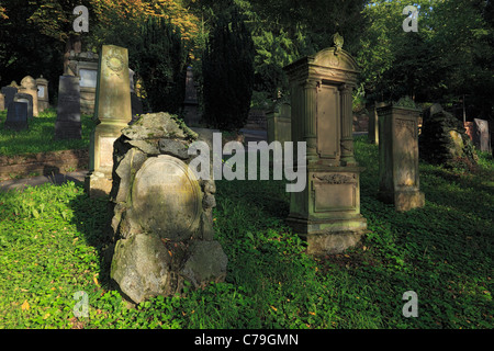 D-Heidelberg, Neckar, area Rhine-Neckar, riserva naturale Neckartal-Odenwald, Bergstrasse, Odenwald, Baden-Wuerttemberg, cimitero ebraico sul Bergfriedhof al Ameisenbuckel hill, tombe Foto Stock