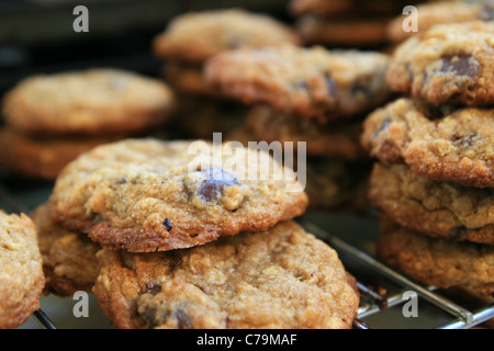 Freschi di forno in casa i biscotti al cioccolato raffreddamento su un rack Foto Stock