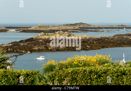 Canale del suono, isole Chausey (Manche, Normandia, Francia). Foto Stock