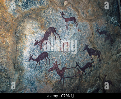 Disegni dei Boscimani di antilope e eland sulla roccia in Zimbabwe Foto Stock