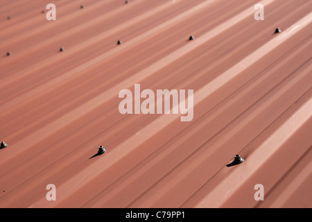 Foglio rosso tetto metallico e dettaglio con il fuoco selettivo Foto Stock