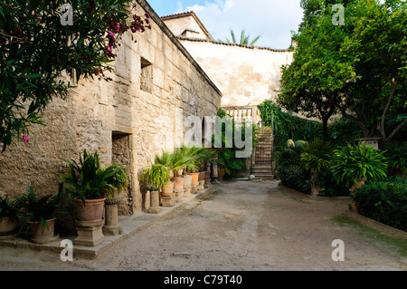 Bagni Arabi nel centro storico della città di Palma di Maiorca, Maiorca, isole Baleari, Spagna, Europa Foto Stock