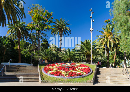 Orologio di fiori, Parque Parco Garcia Sanabria, Santa Cruz Tenerife, Isole Canarie, Spagna, Europa Foto Stock