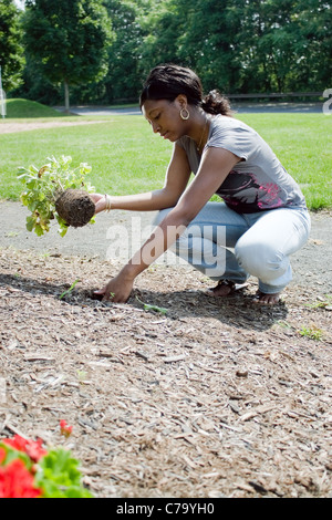 Una giovane donna di piantare nel suo giardino. Foto Stock