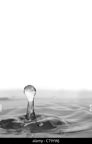 Una chiara goccia d'acqua splash isolate su uno sfondo bianco. Profondità di campo. Foto Stock