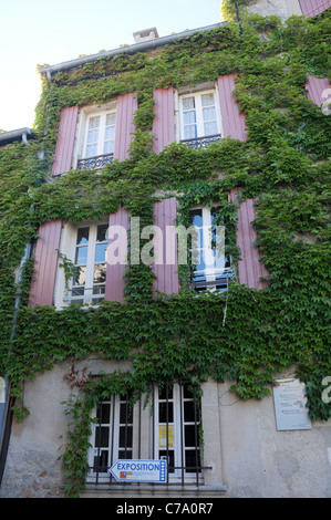 Old tenement house ricoperta di edera Sault, dipartimento di Vaucluse nella regione della Provenza, Francia Foto Stock