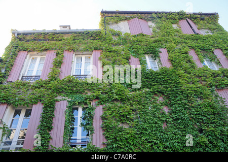 Old tenement house ricoperta di edera Sault, dipartimento di Vaucluse nella regione della Provenza, Francia Foto Stock