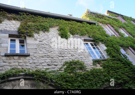 Old tenement house ricoperta di edera Sault, dipartimento di Vaucluse nella regione della Provenza, Francia Foto Stock