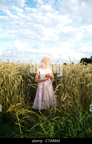 Ragazza 6 anni, indossando un abito in un campo di grano in estate, Eyendorf, Bassa Sassonia, Germania, Europa Foto Stock