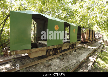 La carreggiata stretta treno merci carri presso il museo all'aria aperta nel maschio Karpaty foresta vicino Dechtice, Slovacchia. Foto Stock