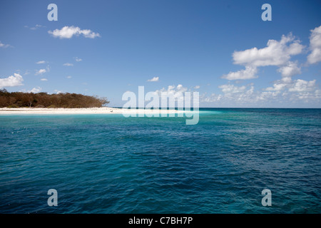 Wilson Island parte della Capricornia Cays Parco Nazionale di Great Barrier Reef Marine Park UNESCO World Heritage Site Queensland Au Foto Stock
