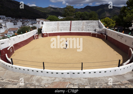 Uomo maturo in posa nella Plaza de Toro, la corrida in Mijas, Andalusia con le sue righe a più livelli di stand Foto Stock