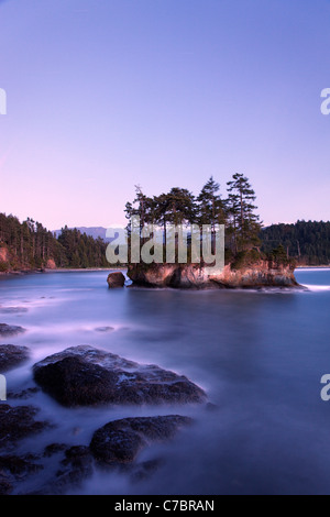 Robusto litorale a Salt Creek Recreation Area, Clallam County, Washington, Stati Uniti d'America Foto Stock