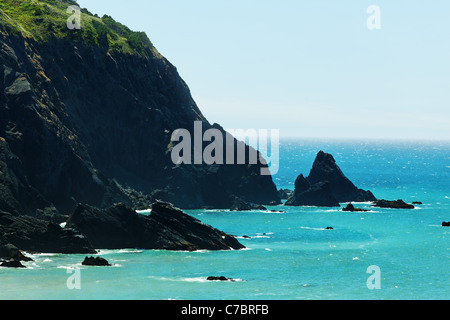 Scogliere sul mare lungo il robusto Oregon Coast, Oregon, USA, America del Nord Foto Stock