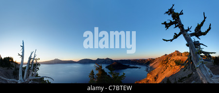 Whitebark pine tree in piedi sopra il cratere del lago all'alba, il Parco nazionale di Crater Lake, Oregon, USA, America del Nord Foto Stock