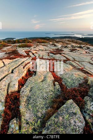 Autunno a colori nel mezzo di granito roccia sulla cima del Cadillac Mountain al tramonto, isola di Mount Desert, Parco Nazionale di Acadia, Maine Foto Stock