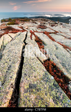 Autunno a colori nel mezzo di granito roccia sulla cima del Cadillac Mountain al tramonto, isola di Mount Desert, Parco Nazionale di Acadia, Maine Foto Stock