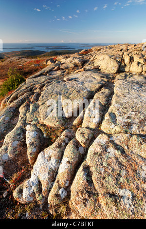 Autunno a colori nel mezzo di granito roccia sulla cima del Cadillac Mountain, isola di Mount Desert, Parco Nazionale di Acadia, Maine Foto Stock