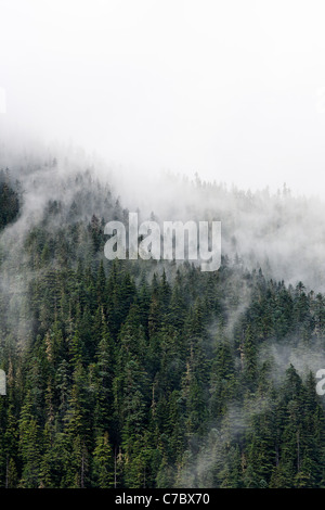 Nuvole intervallati con il vecchio crescita creste boscose, il Parco Nazionale del Monte Rainier, Washington, Stati Uniti d'America Foto Stock