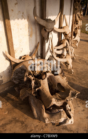 India, Nagaland, Mon, Wangkhao, elefante cranio e trofei di caccia al di fuori del villaggio Morung Foto Stock