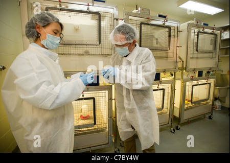 Gli scienziati di condurre un esperimento in un laboratorio Foto Stock