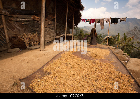 India, Nagaland, Longwa, Konyak Naga village, di recente il riso raccolto asciugando sul balcone della casa Foto Stock