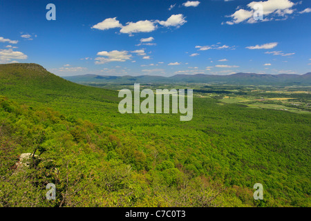 Storia Prenota Trail, Massanutten montagna, Shenandoah Valley, Virginia, Stati Uniti d'America Foto Stock