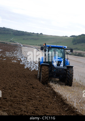 Un trattore arare un campo seguito da gabbiani in West Sussex Foto Stock