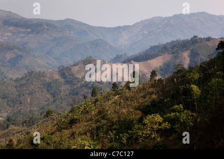 India, Nagaland, Mon, colline disboscate da Konyak Naga slash e masterizzare agricoltura vicino al confine birmano Foto Stock