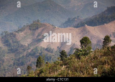 India, Nagaland, Mon, colline disboscate da Konyak Naga slash e masterizzare agricoltura vicino al confine birmano Foto Stock