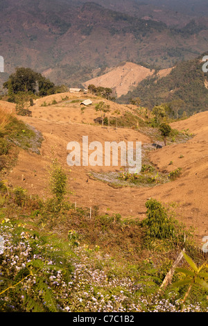 India, Nagaland, Mon, colline disboscate da Konyak Naga slash e masterizzare agricoltura vicino al confine birmano Foto Stock