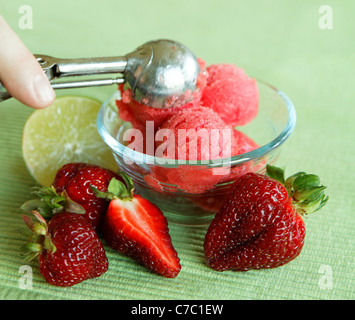 Fragole e sorbetto al lime essendo servita nella ciotola trasparente, dal pasticcere Laurie Pfalzer, pasticceria artigianale Foto Stock