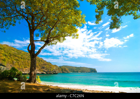 Spiaggia a Sekongkang, West Sumbawa Foto Stock