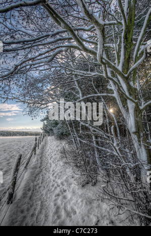 Una coperta di neve il sentiero tra campi aperti e foreste nelle zone rurali della Contea di Durham. Foto Stock