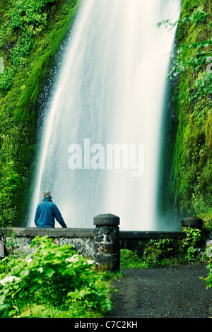 Uomo in piedi sul ponte di fronte Wahkeena Falls, Columbia River Gorge National Scenic Area, Oregon, Stati Uniti d'America Foto Stock