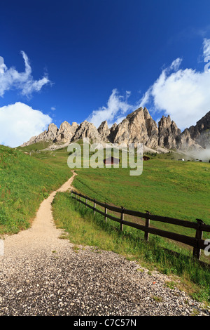 Paesaggio estivo del Gruppo Cir dal Passo Gardena, Dolomiti italiane Foto Stock