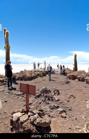 Isla Incahuasi, Uyuni Saline, Bolivia Foto Stock